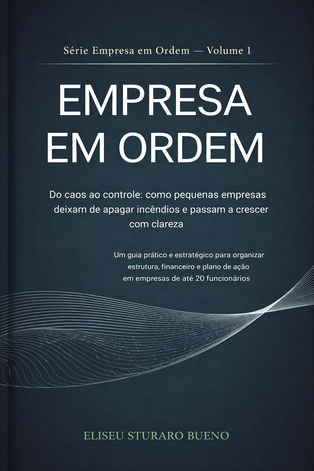 Empresa em Ordem